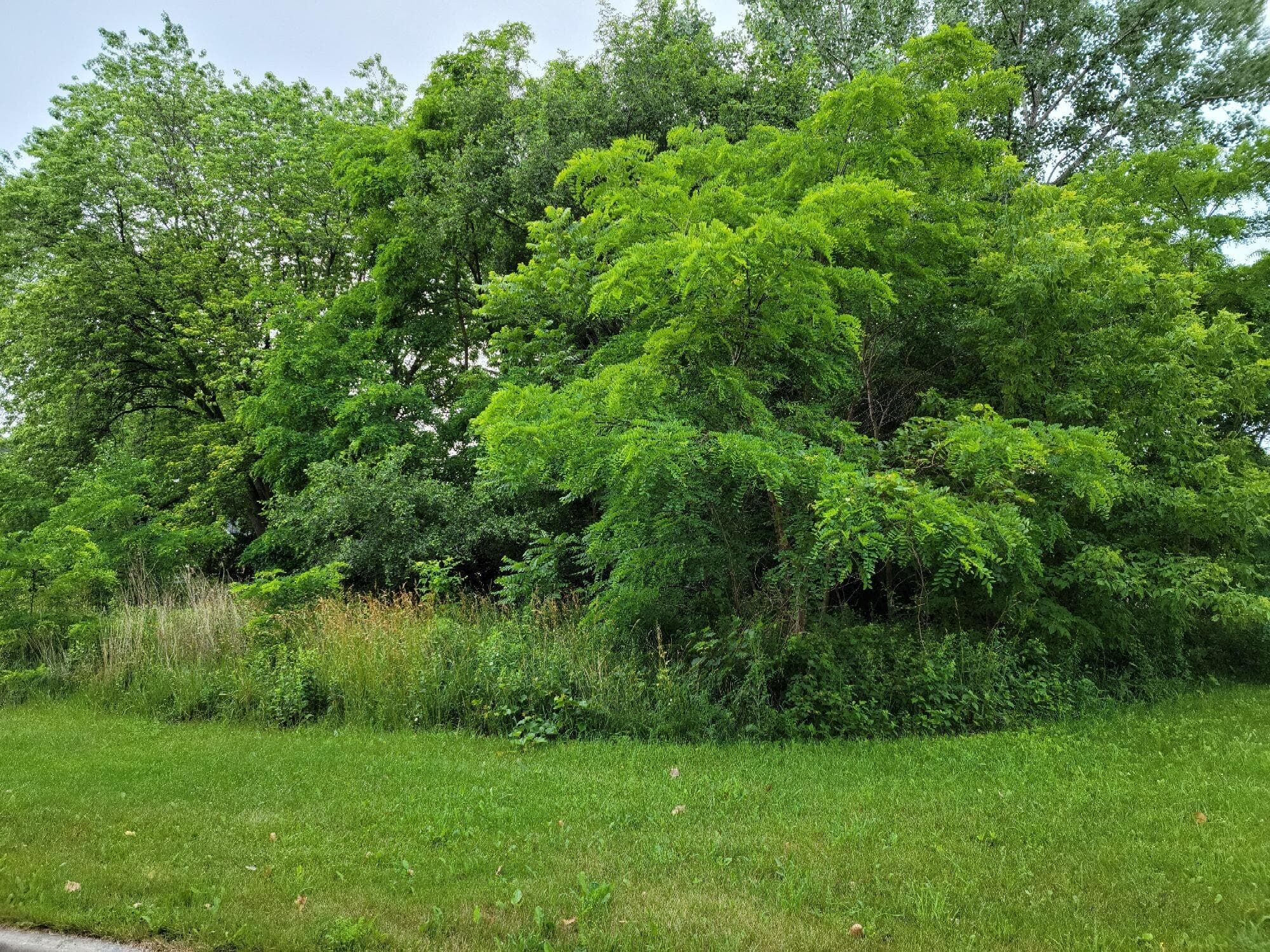 Lt0 14th Ave, Kenosha